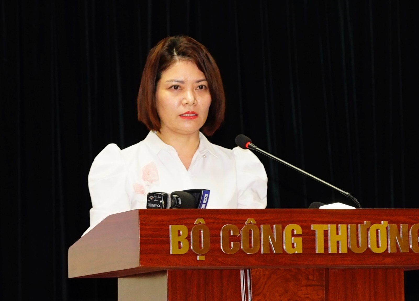 Bà Nguyễn Thúy Hiền - Phó Vụ trưởng Vụ Kế hoạch, Bộ Công Thương