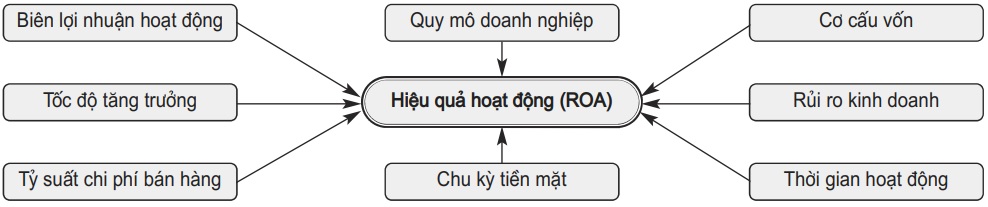 hiệu quả hoạt động