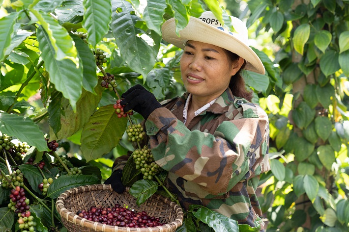 Chương trình NESCAFÉ Plan góp phần cải thiện kinh tế cho nhiều nông hộ canh tác cây cà phê và nâng cao vai trò và vị thế của người phụ nữ_1