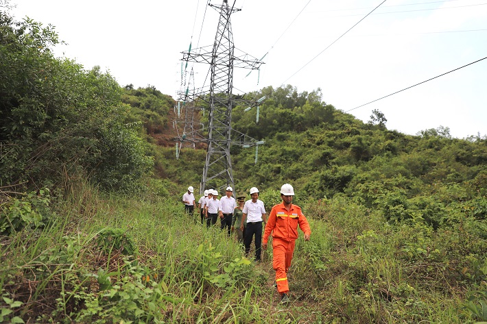 Đoàn kiểm tra thực địa hành lang tuyến đường dây 220kV Nha Trang - Vân Phong