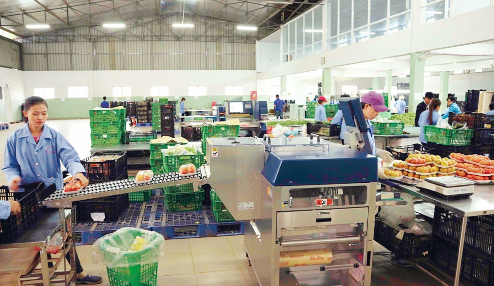 Khuyến công tỉnh Lâm Đồng hiện có chương trình Hỗ trợ có thu hồi vỗn đang tích cực giúp doanh nghiệp thay đổi công nghệ, mua sắm trang thiết bị máy móc hiện đại...