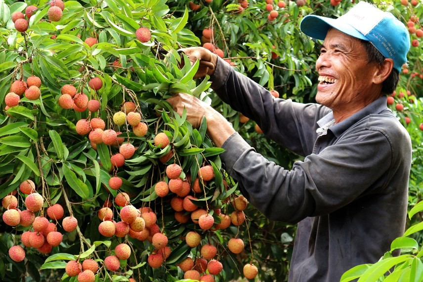 Đẩy mạnh xúc tiến thương mại đối với nông sản Việt Nam