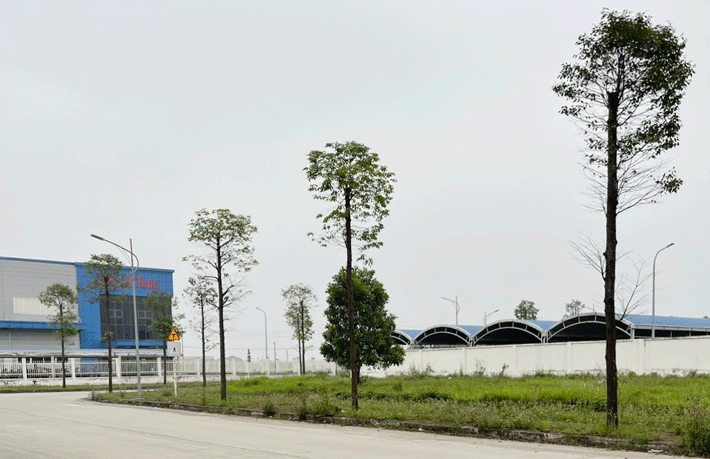 Cụm công nghiệp Cầu Yên - Thành phố Ninh Bình