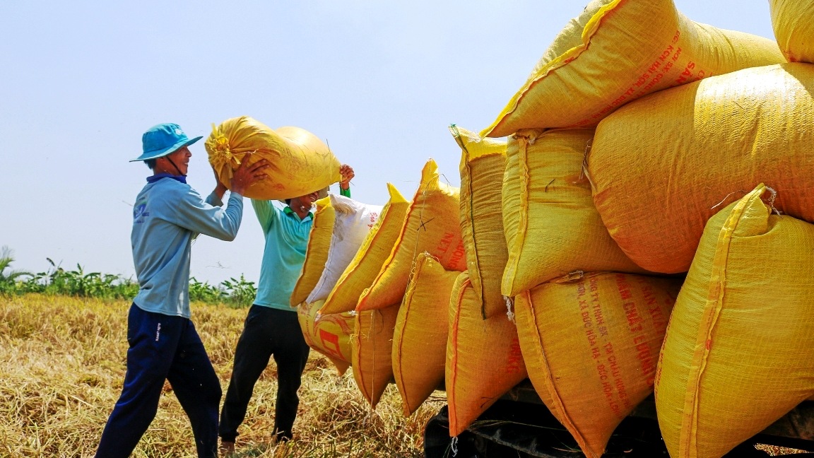 Giá gạo xuất khẩu Việt Nam tăng tuần thứ ba liên tiếp