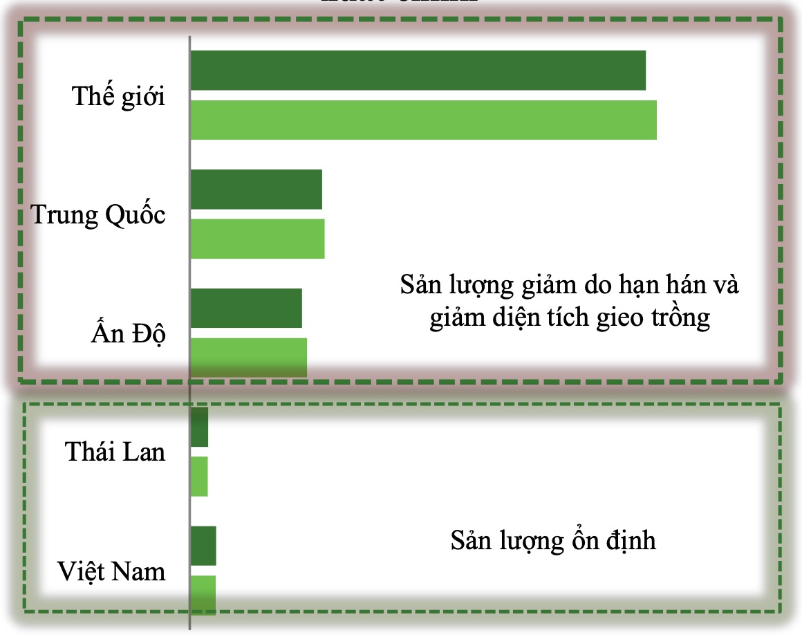 gia-gao-xuat-khau-co-the-con-tang-cao-nhung-doanh-nghiep-gao-doi-mat-rui-ro-loi-nhuan-giam_64ea034867778 gia-gao-xuat-khau-co-the-con-tang-cao-nhung-doanh-nghiep-gao-doi-mat-rui-ro-loi-nhuan-giam_64ea034867778 Sản lượng gạo Gạo xuât khẩu: Giá cao, doanh nghiệp vẫn lo lợi nhuận giảm gia gao xuat khau co the con tang cao nhung doanh nghiep gao doi mat rui ro loi nhuan giam 64ea034867778