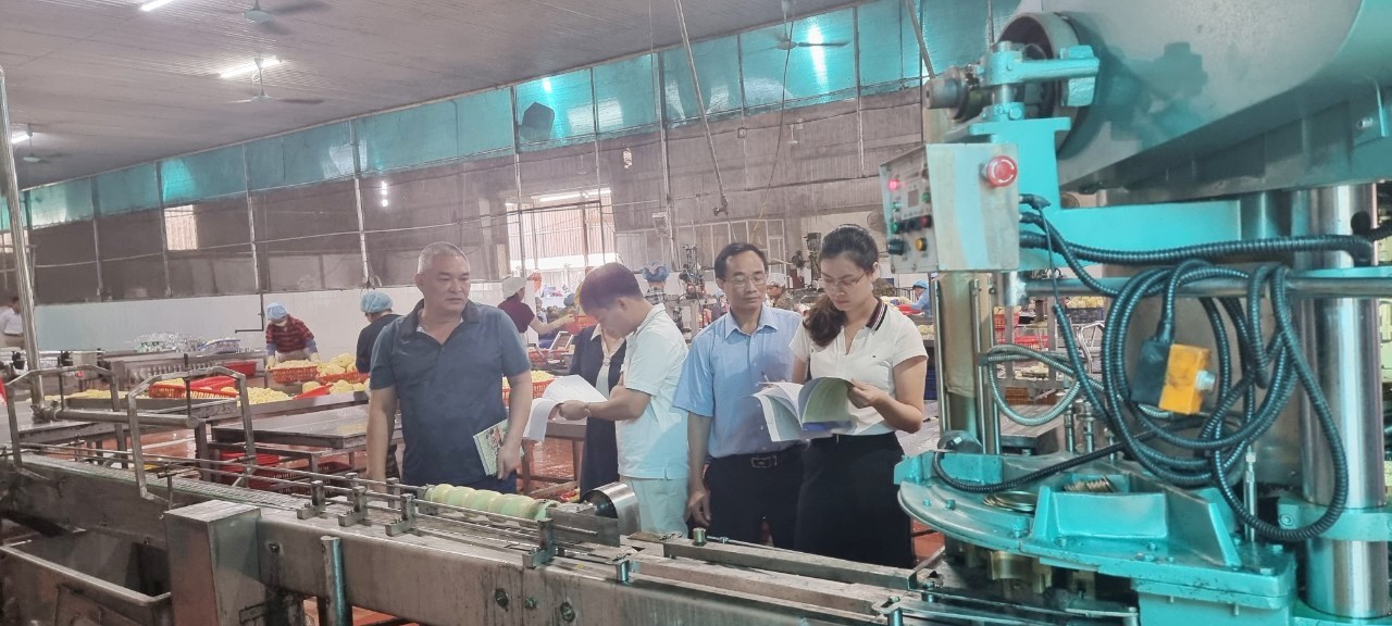 Từ nguồn kinh phí khuyến công địa phương năm 2022 hỗ trợ, Công ty Cổ phần Chế biến nông sản Việt Xanh (thị trấn Yên Ninh, huyện Yên Khánh, tỉnh Ninh Bình) đã đầu tư mua máy chế biến nông sản