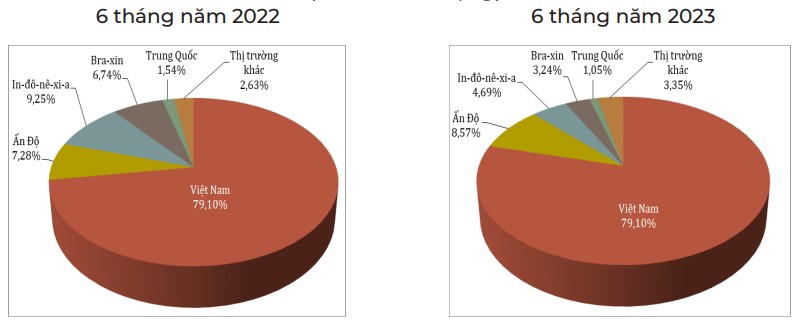 cơ cấu thị trường