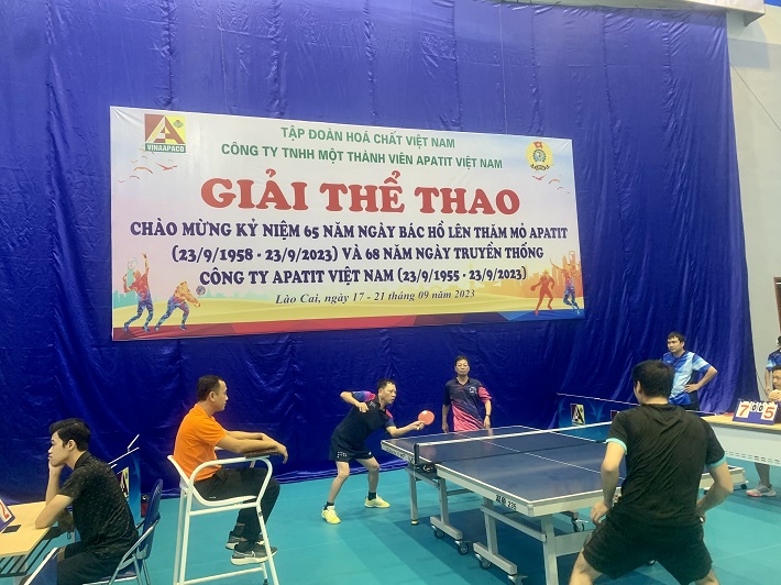 apatit viet nam 1