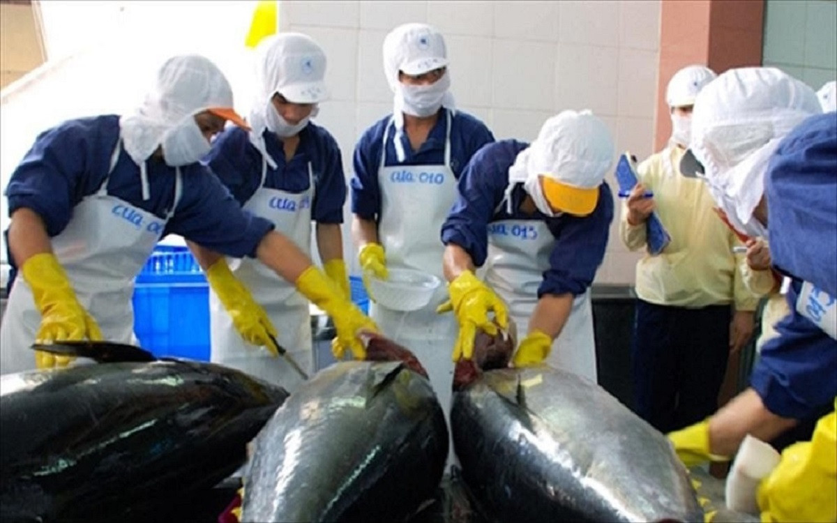 xuất khẩu cá ngừ 
