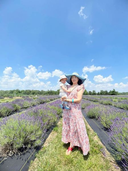 lavender hai ba chau