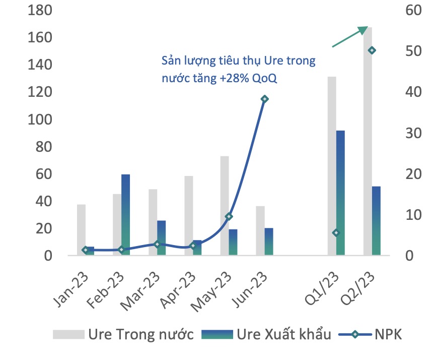 Nhu cầu phân bón Đạm Cà Mau