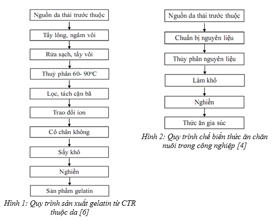 chất thải rắn