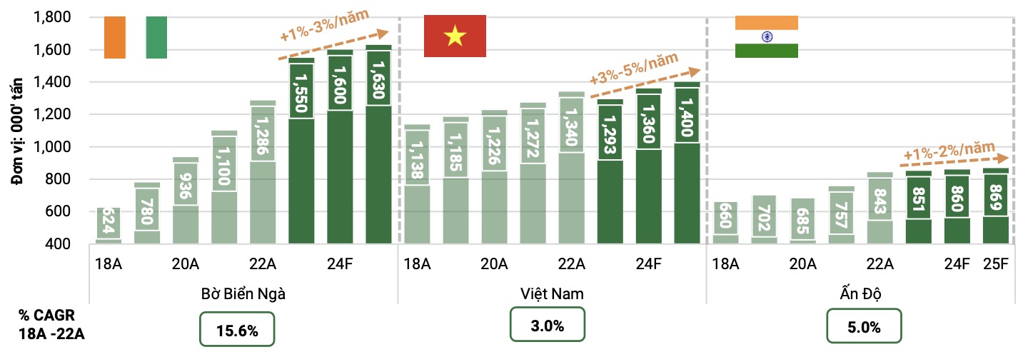 Sản lượng khai thác