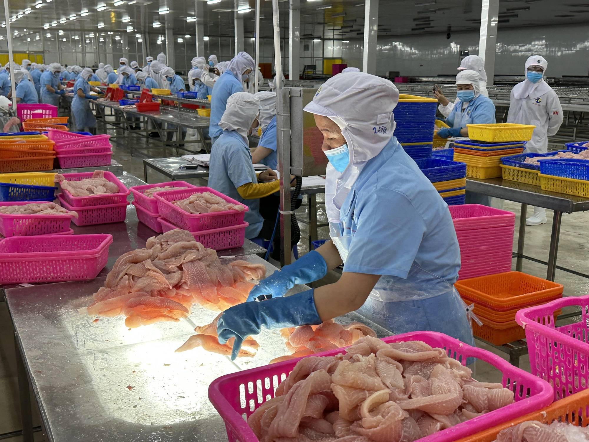 Tranh thủ thời cơ, tăng tốc xuất khẩu cá tra Việt Nam