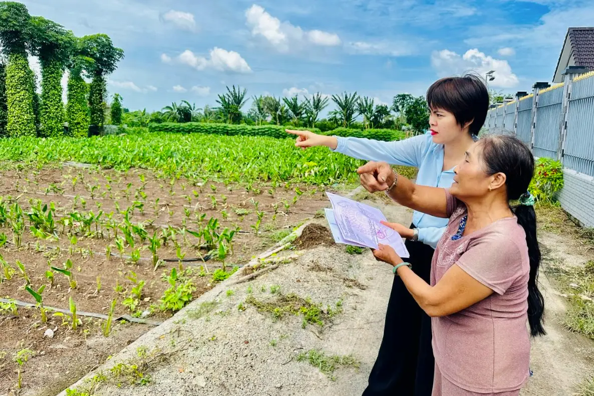 Tách, hợp thửa đất