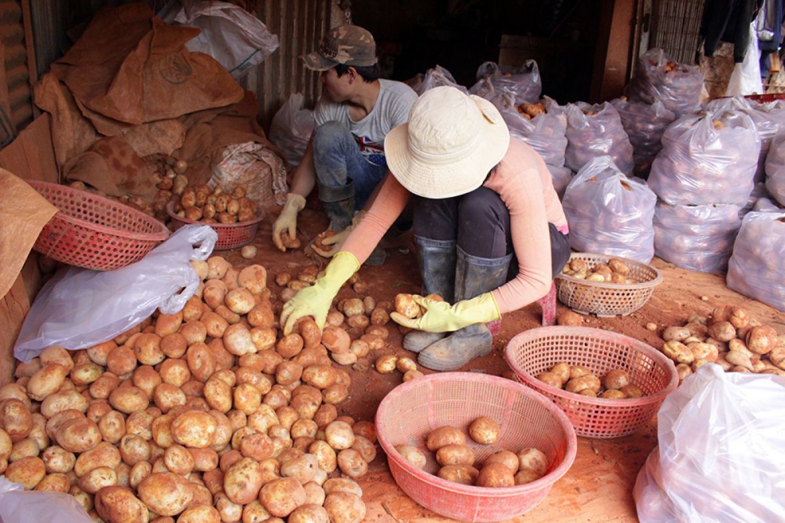 nông sản ngoại đội lốt hàng Việt