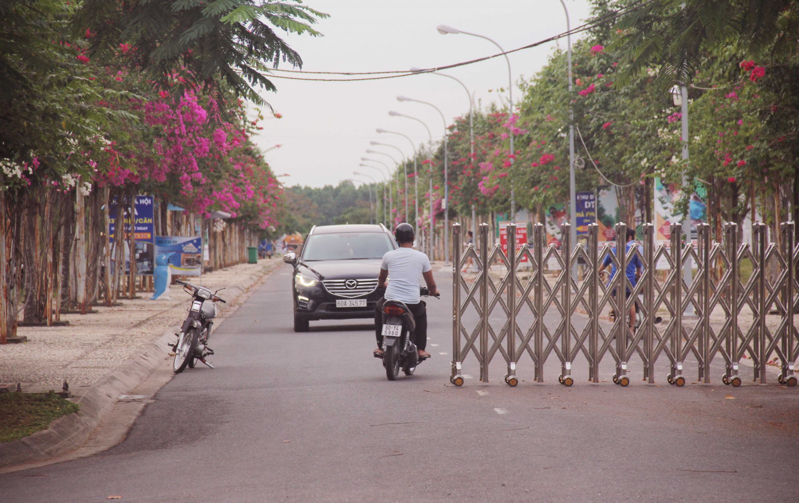 Con đường chính vào Khu dân cư Thang Long Home – Phước An luôn đỏ rực hoa. 