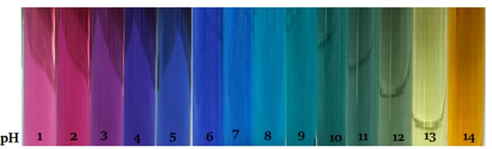 Màu sắc anthocyanin của hoa đậu biếc ở môi trường pH từ 1 - 14
