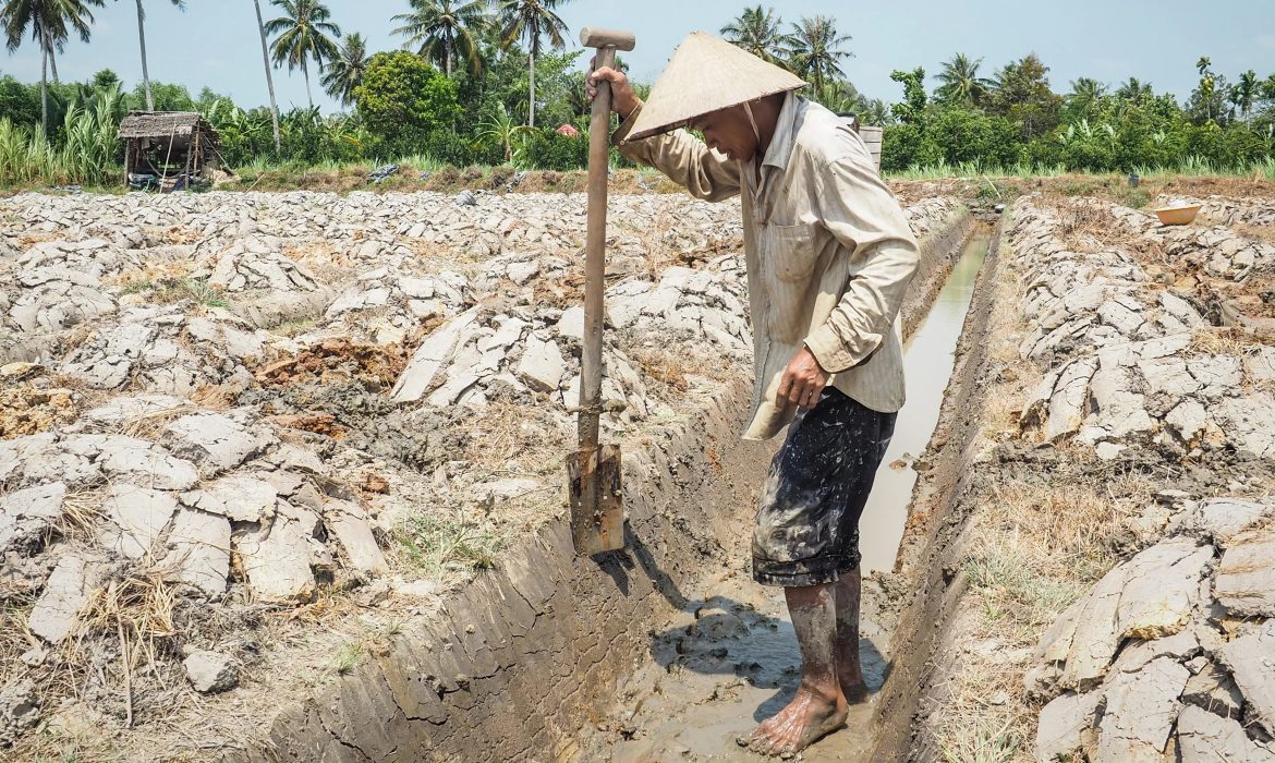 Hạn hán ở Việt Nam: Đâu chỉ mỗi chuyện thiếu nước, hụt mưa?