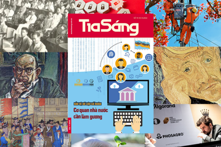 avarta tia sang so 19 2022