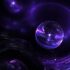 shutterstockkakteen_2126016263-696x392