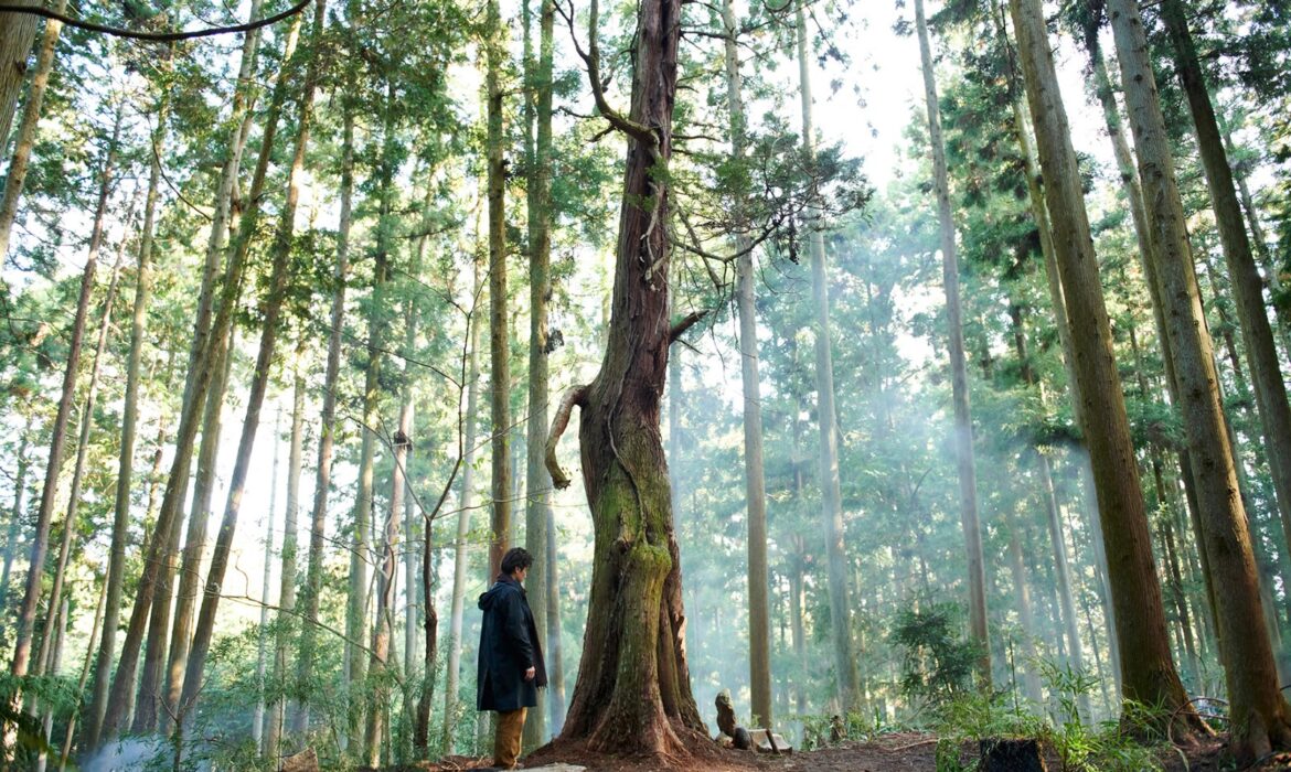 Những khu rừng của Naomi Kawase