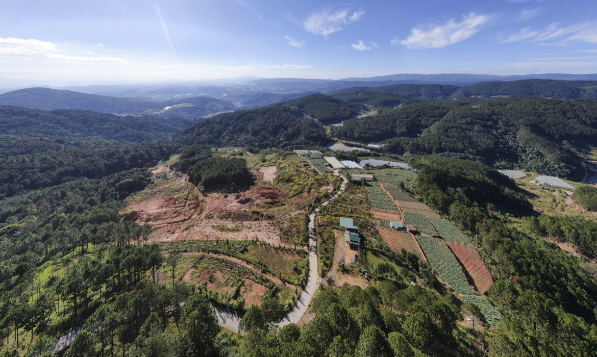 Lâm Đồng dự kiến lấy 32.000 hecta rừng làm dự án: Nguy cơ tác động tới hệ sinh thái ?