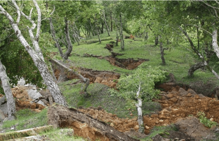 Động đất ảnh hưởng đến khả năng phục hồi rừng trong nhiều thập kỷ