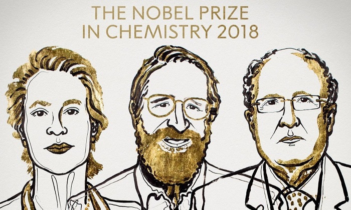 Nghiên cứu “sự tiến hóa trong ống nghiệm” giành giải Nobel hóa học