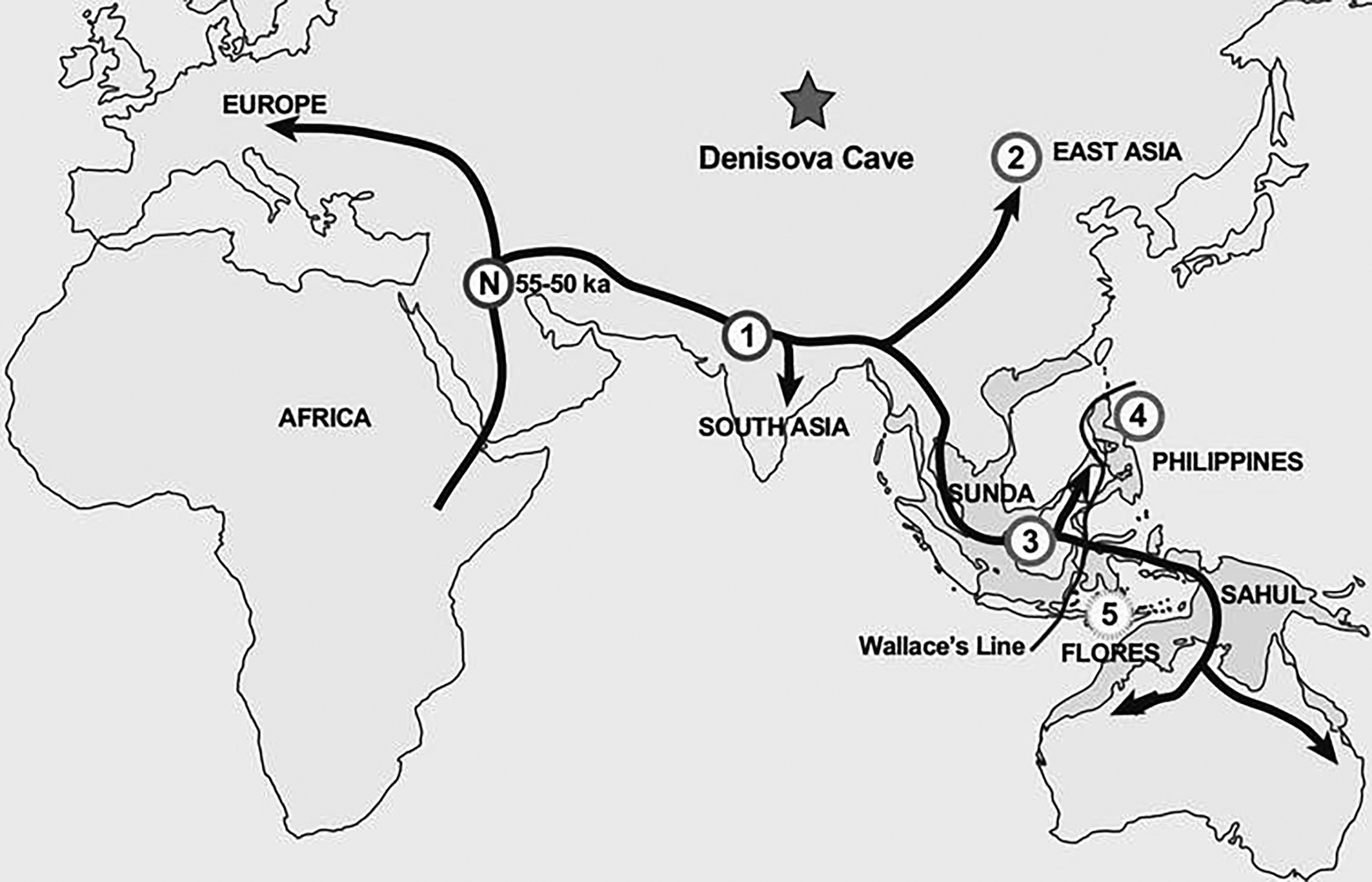 Vẽ bản đồ người cổ đại rời châu Phi 50.000 năm trước