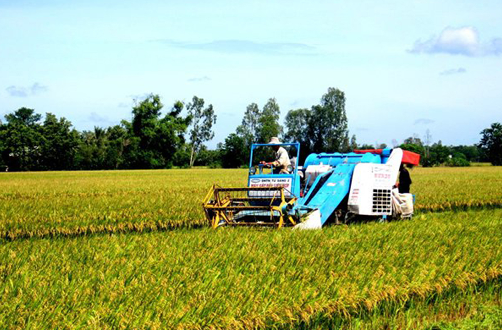 Phát triển kinh tế nông nghiệp: Tích tụ ruộng đất không phải là yếu tố quyết định