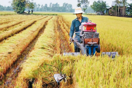 Thúc đẩy liên kết với người sản xuất trong nông nghiệp