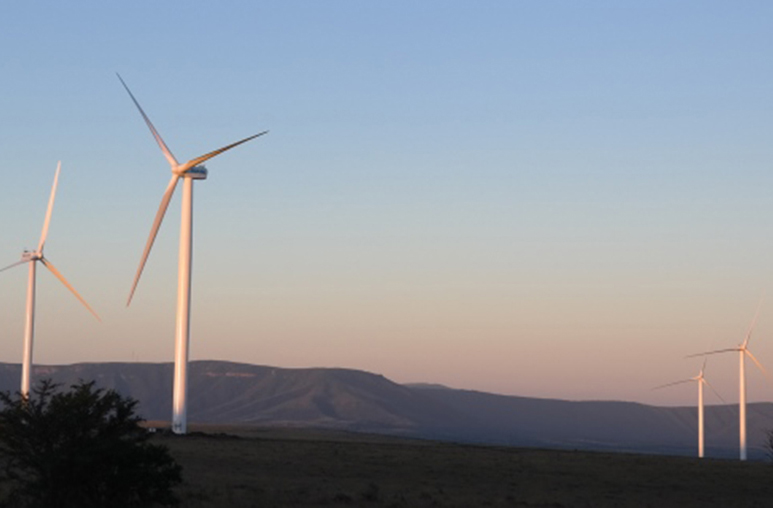 Nam Phi: Bước nhảy vọt về năng lượng tái tạo