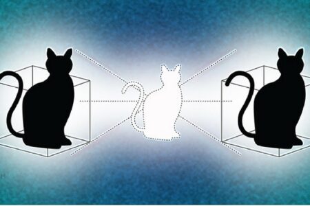 Có thể dự đoán được bước nhảy con mèo của Schrödinger (và cứu được nó)