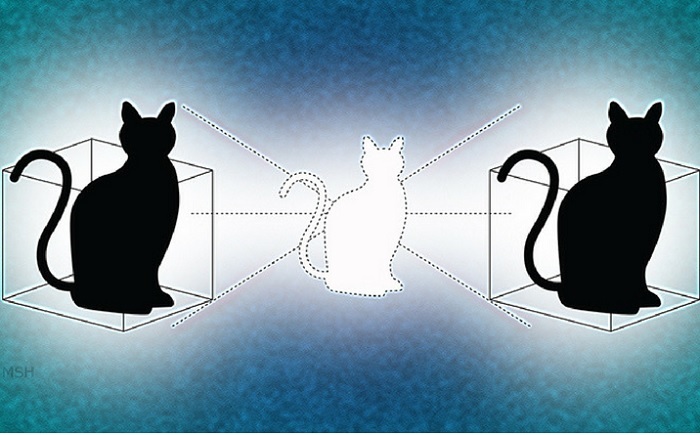 Có thể dự đoán được bước nhảy con mèo của Schrödinger (và cứu được nó)