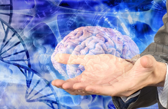 Tế bào thần kinh gốc ở não có thể kiểm soát quá trình lão hóa