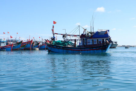 Hệ sinh thái biển Việt Nam: Cơ hội phục hồi?