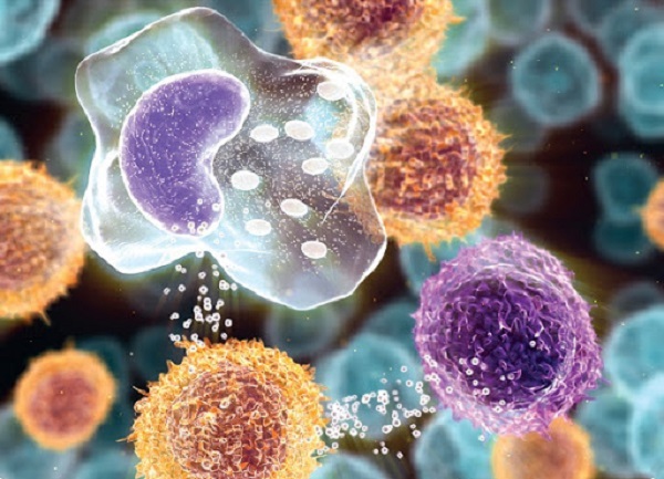 Liệu pháp tế bào gốc: Mở ra tiềm năng điều trị bệnh tự miễn