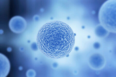 Tế bào gốc sẽ “thay đổi cuộc chơi” trong chữa trị bệnh tật