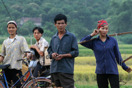 Tạm biệt IDA nhưng không luyến tiếc