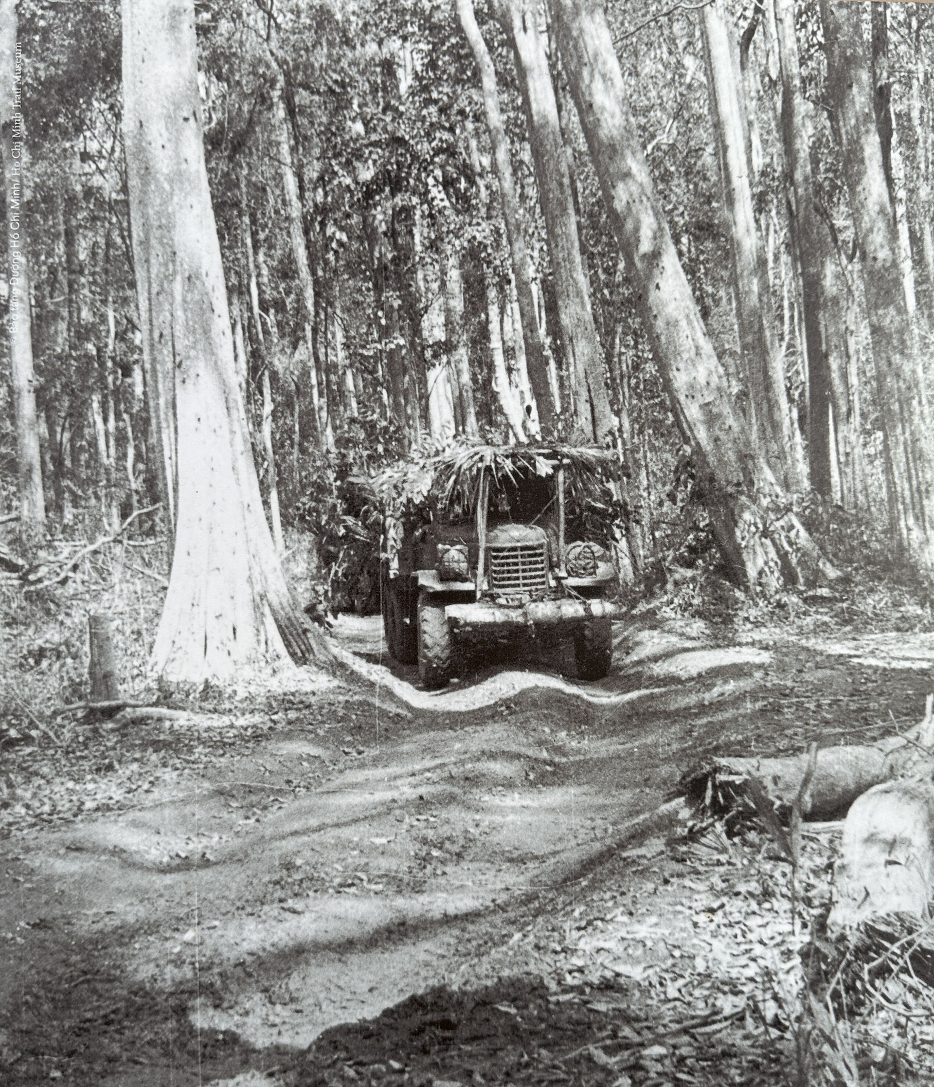 伝説のホーチミンルートの典型的な画像 - 19 Những hình ảnh tiêu biểu về đường Hồ Chí Minh huyền thoại - 19