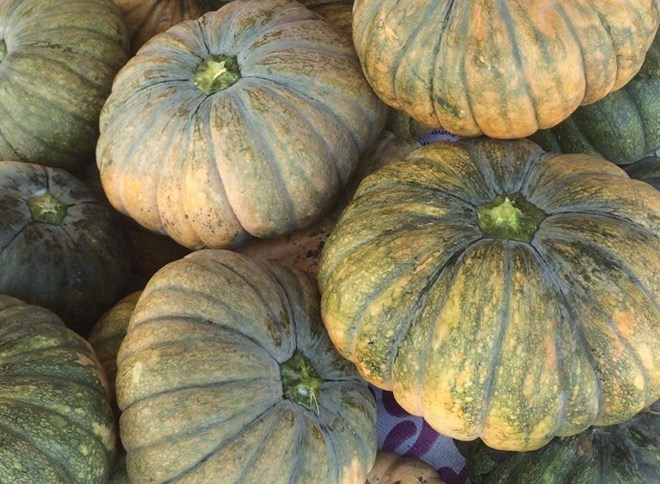 La calabaza tiene muchos beneficios para la salud, incluyendo beneficios para la vista. Foto: Pham My