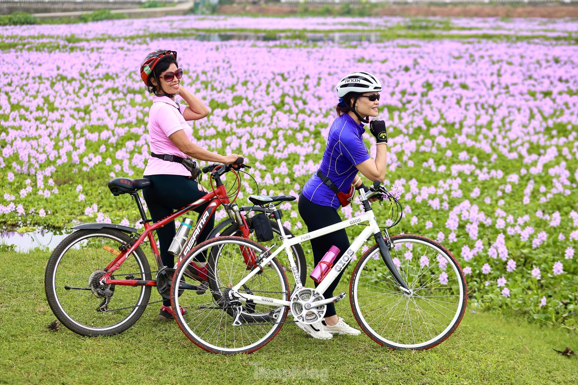Hanoi youth enjoy checking in at the purple water hyacinth field photo 12