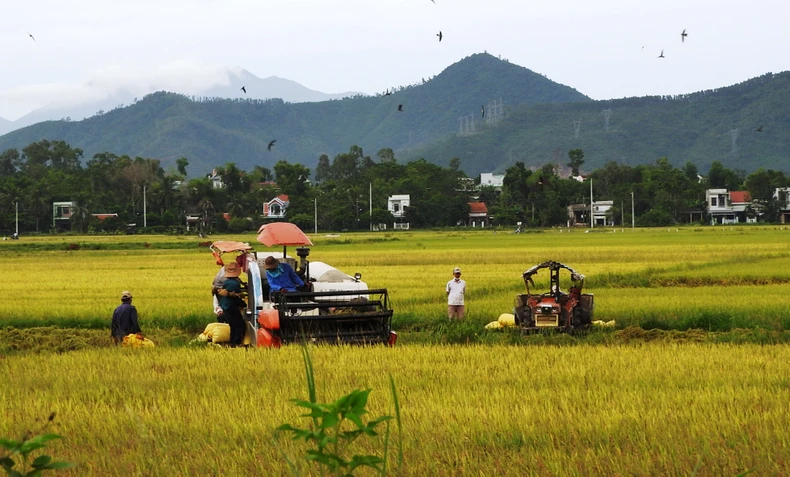 Phát huy nguồn lực tín dụng hỗ trợ người nghèo, đối tượng chính sách ảnh 1