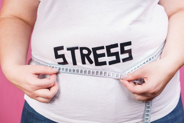 Stress kann zu unkontrollierter Gewichtszunahme führen