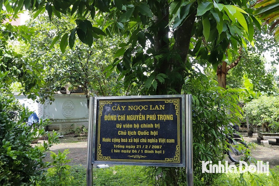 Cây Ngọc lan do chính tay Tổng Bí thư Nguyễn Phú Trọng trồng tại Nhà văn hóa thôn Lại Đà vào năm 2007, cũng sẽ là một trong những địa điểm được chính quyền địa phương bố trí cho Nhân dân khi đến Lại Đà tham quan sau khi viếng lễ Tổng Bí thư.