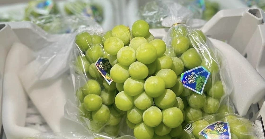 Les raisins étrangers sont aussi bon marché que les légumes, les pommes de cire de début de saison, très chères, sont toujours « épuisées »