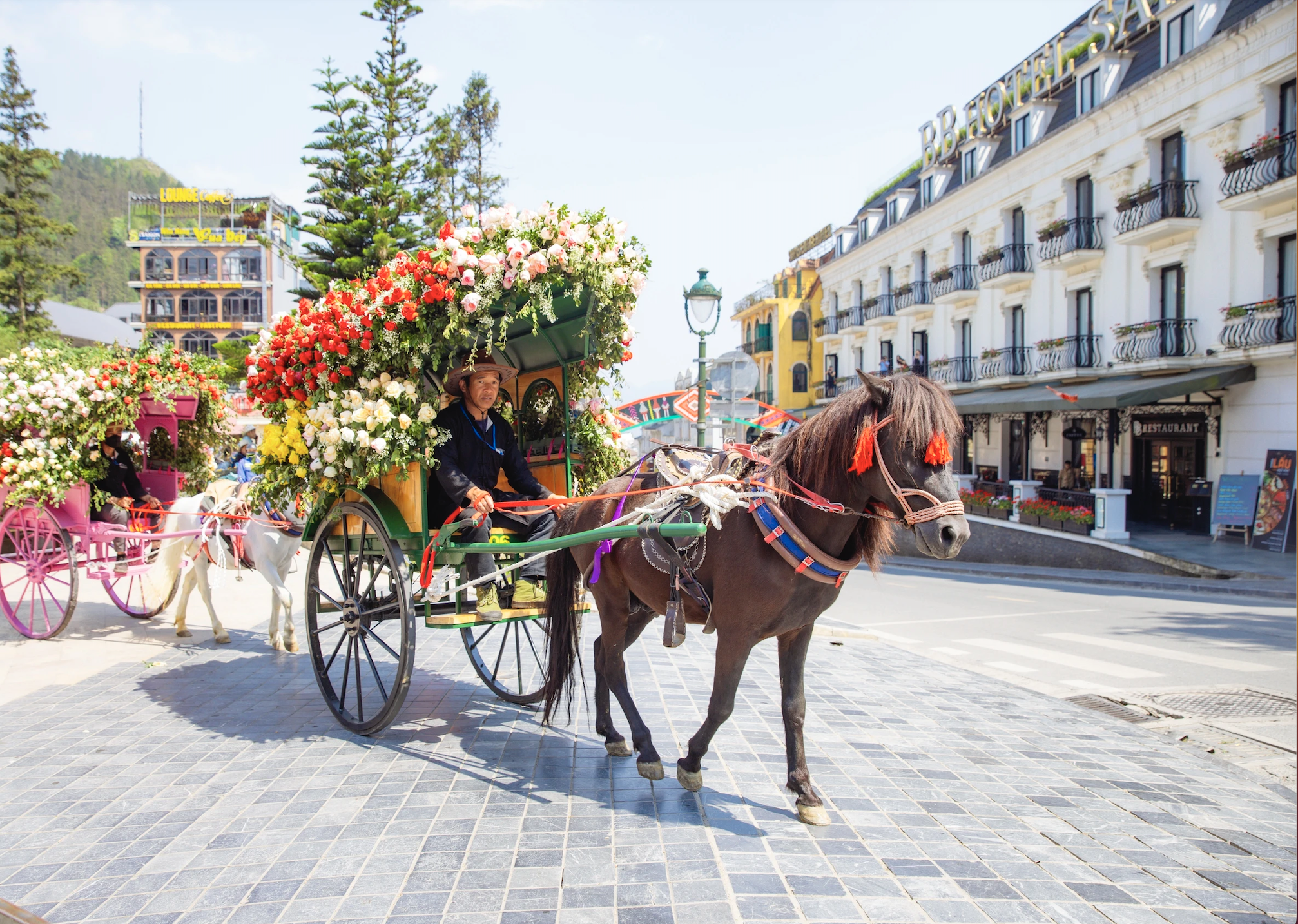 Las rosas llenan el cielo de Sa Pa, atrayendo a decenas de miles de visitantes a las montañas para escapar del calor.