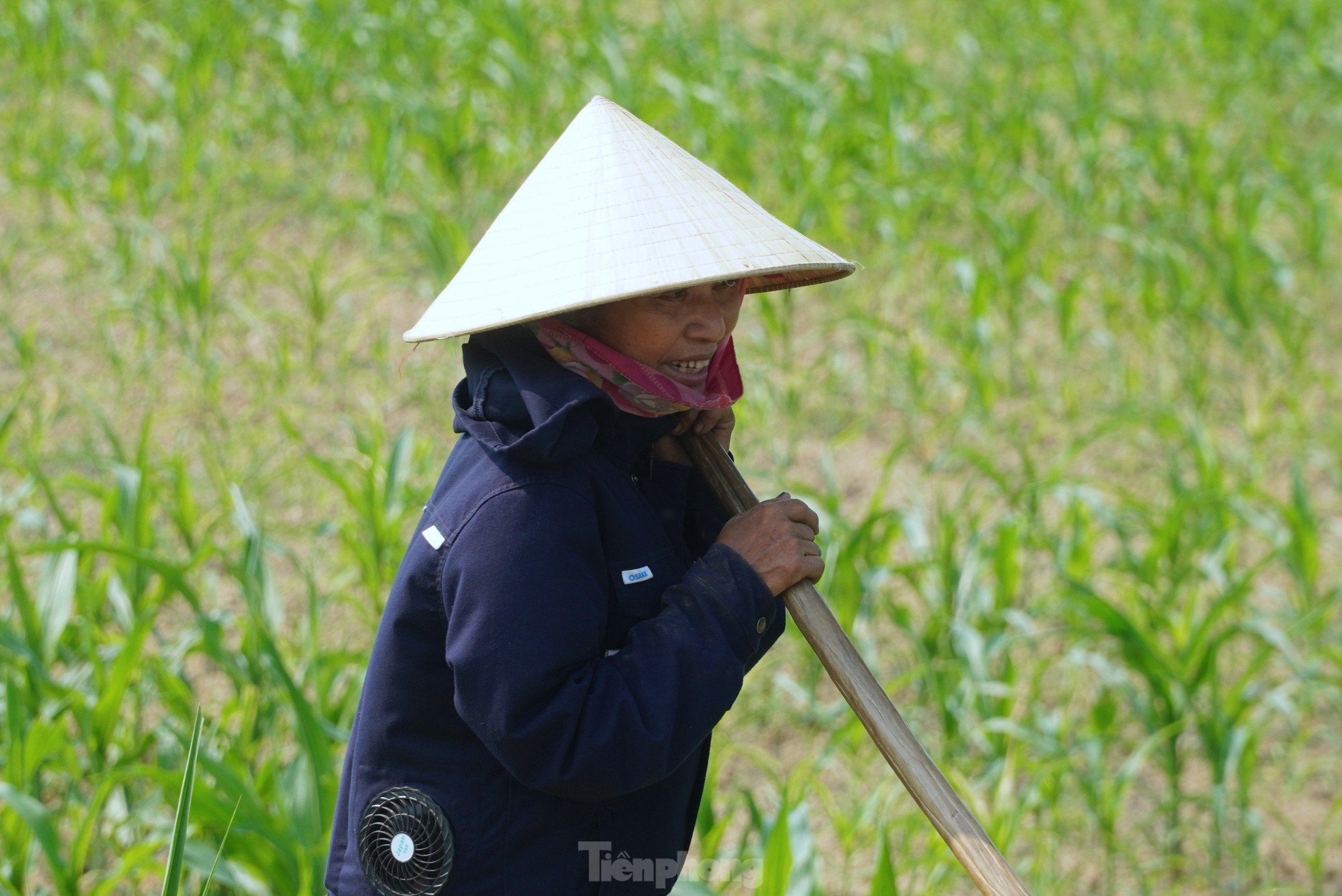 Los agricultores luchan por ganarse la vida bajo el calor del sol foto 6