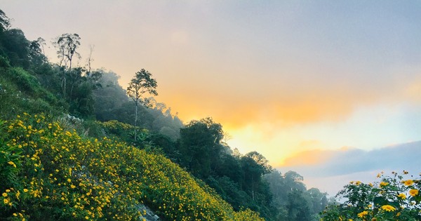 Renovating and upgrading the road from Provincial Road 414 to Ba Vi National Park